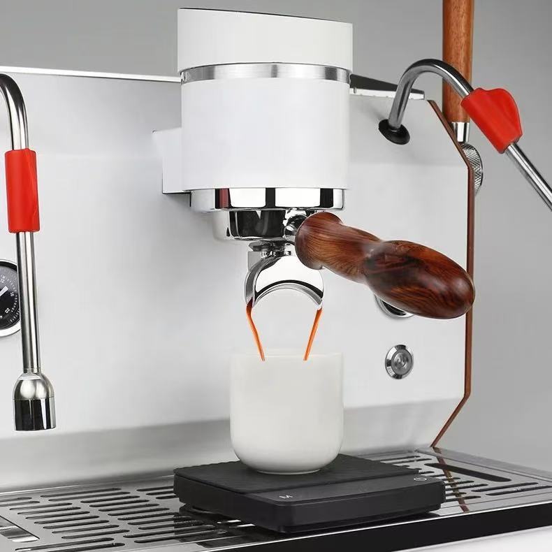 Custom Commercial Double Head  - Espresso Machine Semi Auto recension och pris